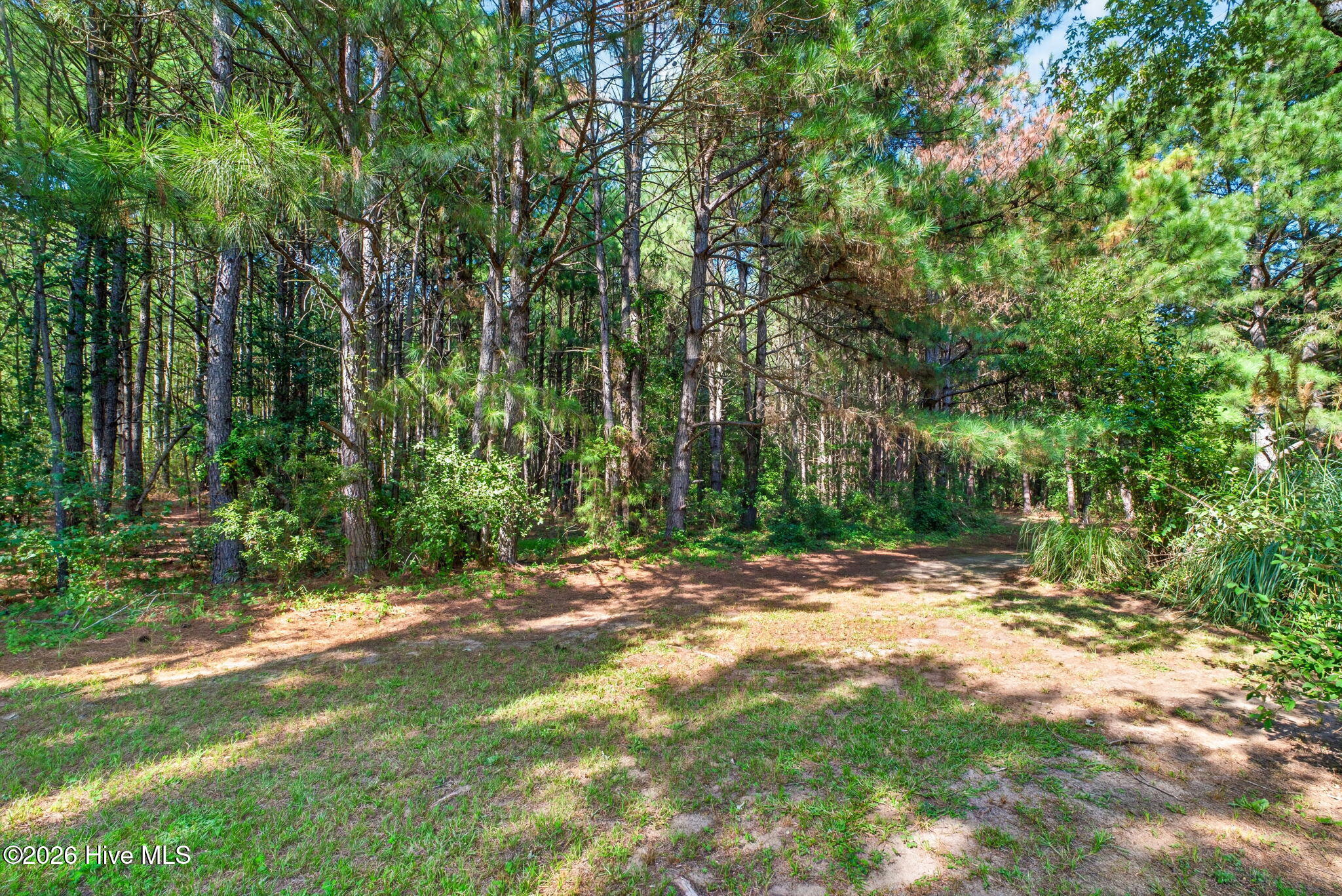 main property photo 45