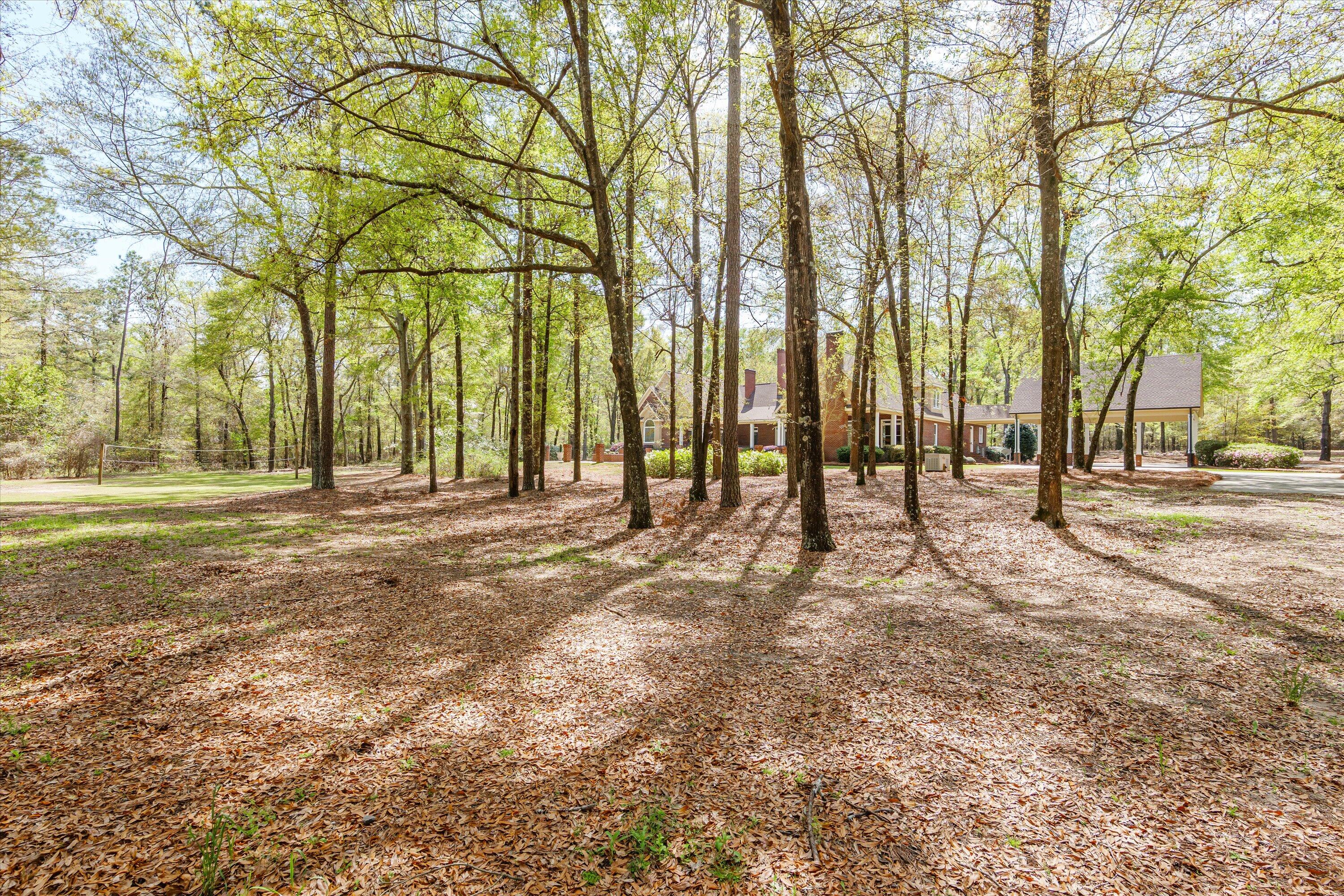 main property photo 69