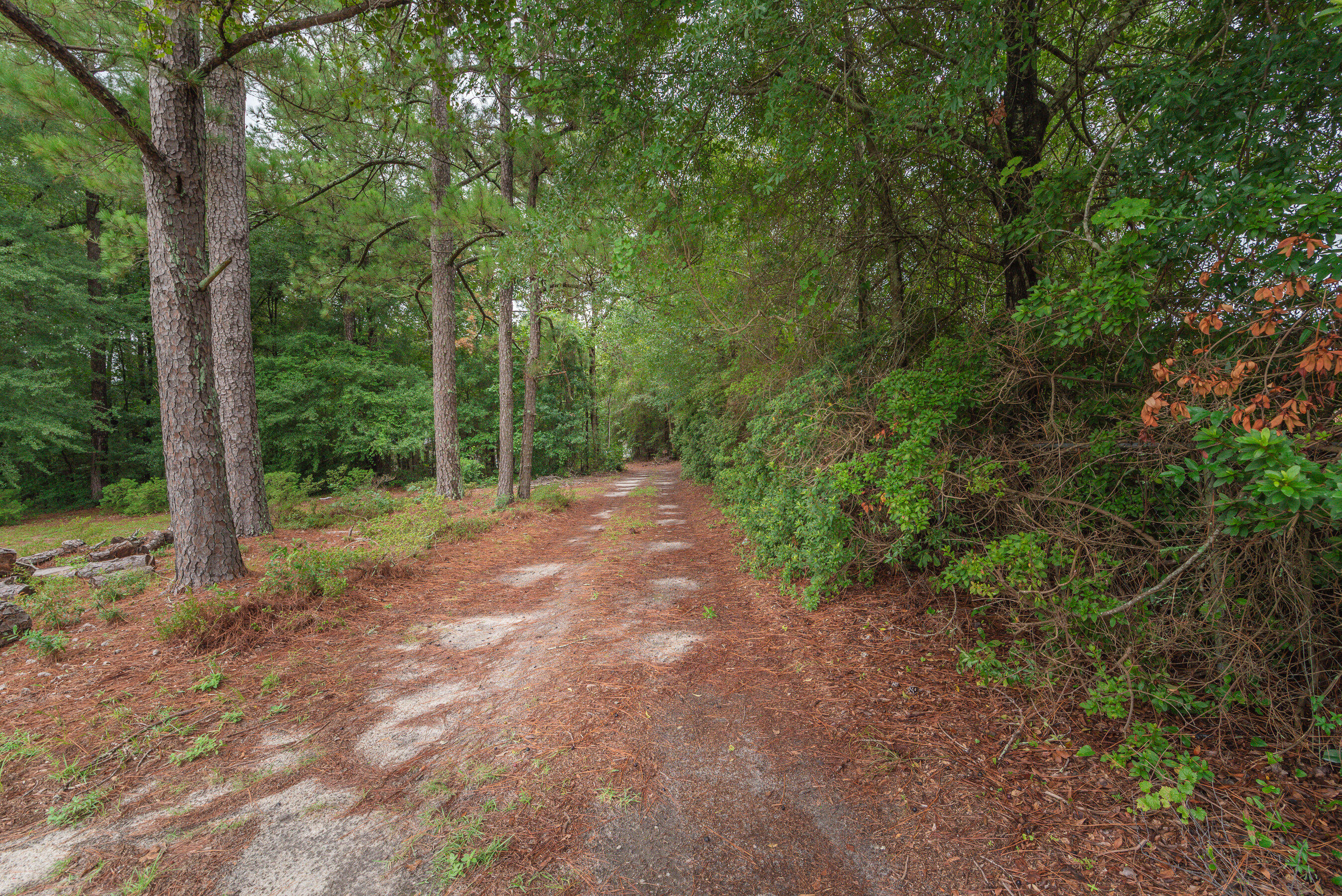 main property photo 56