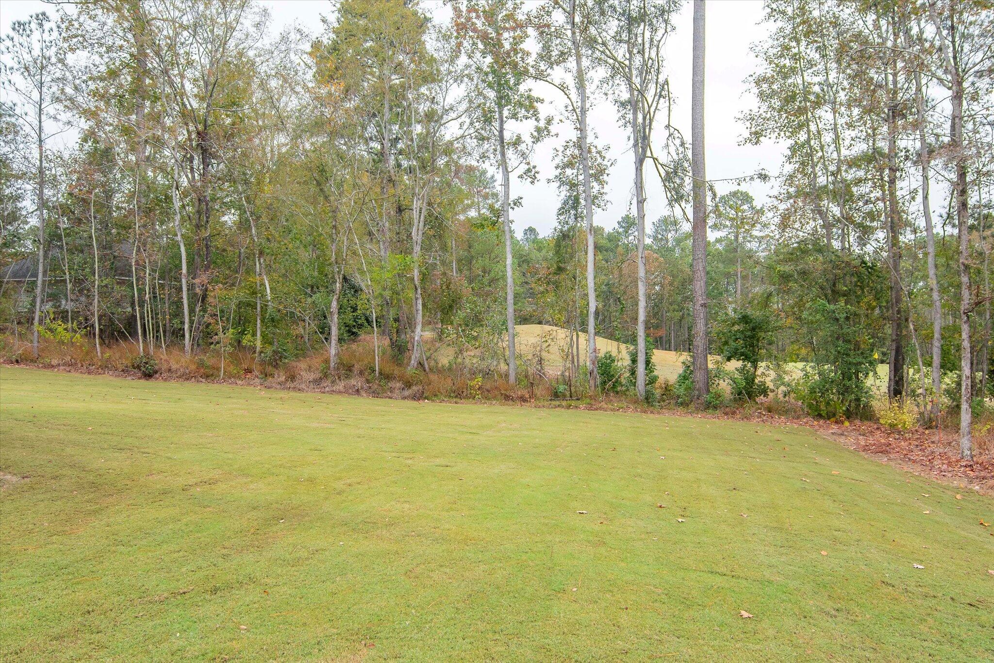 main property photo 44