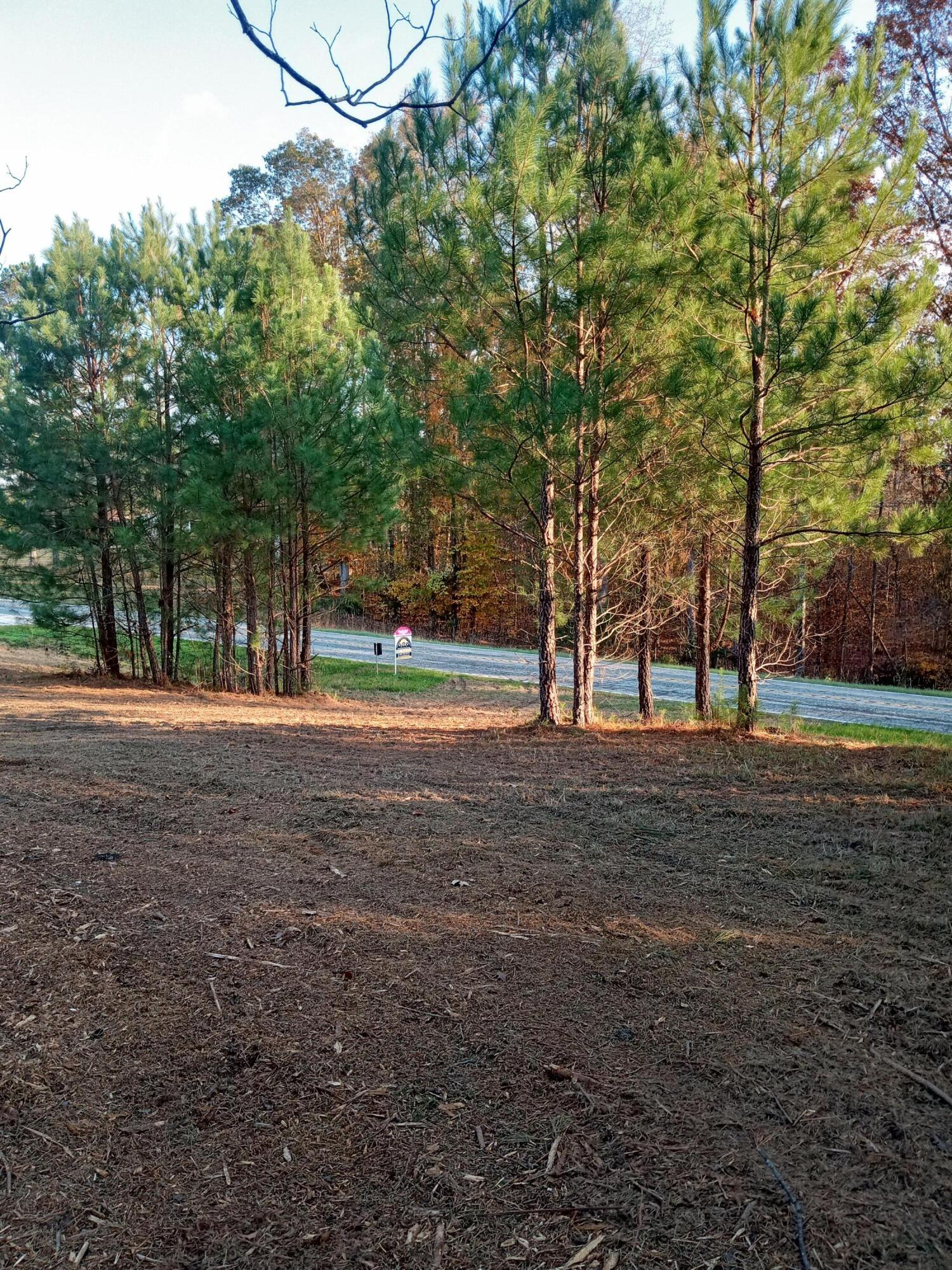 main property photo 49