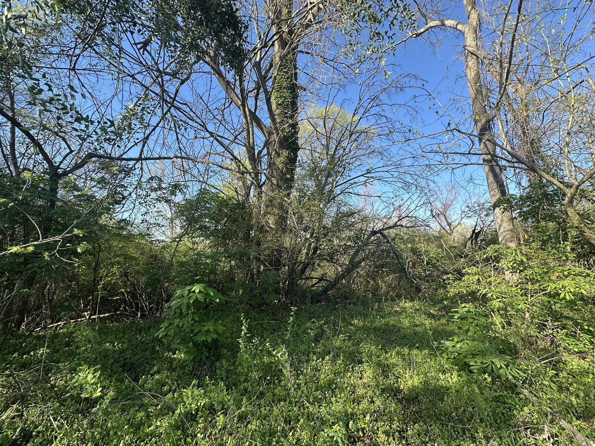 main property photo 19