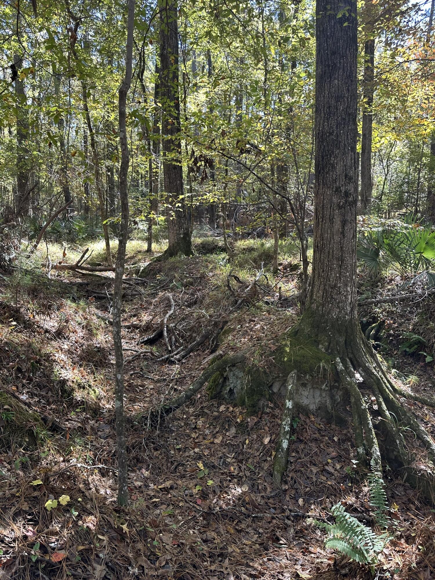 main property photo 10