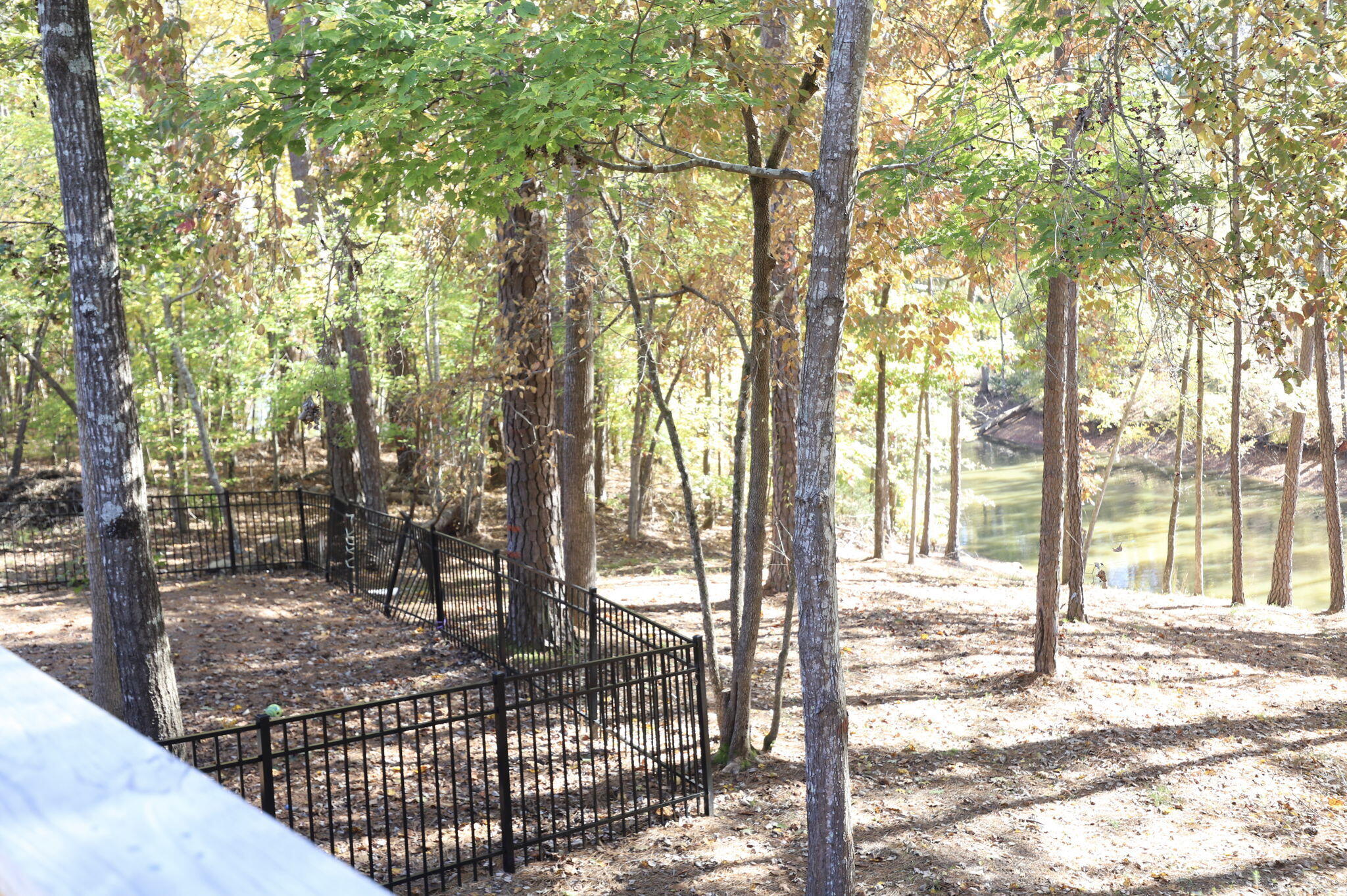 main property photo 38