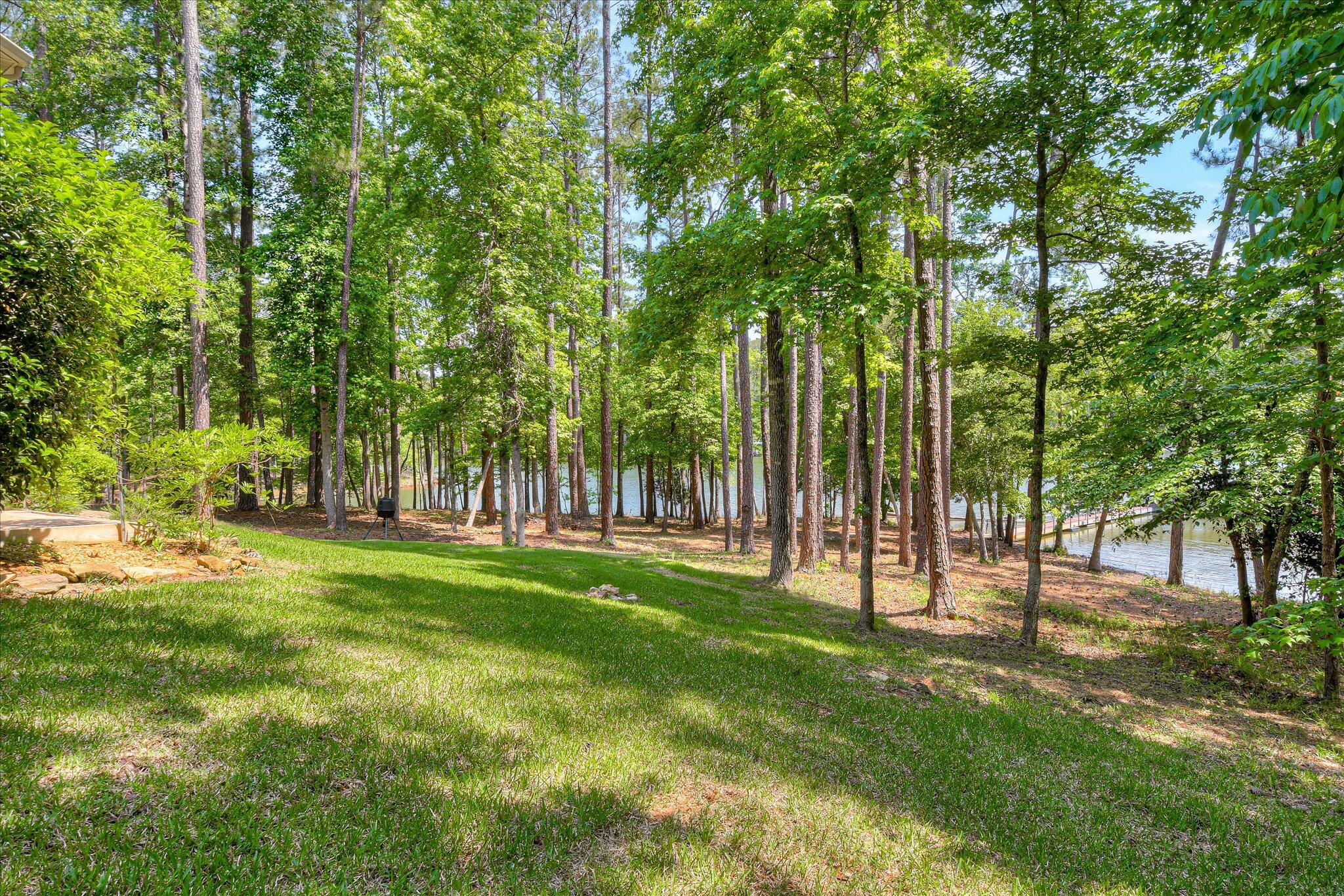 main property photo 56