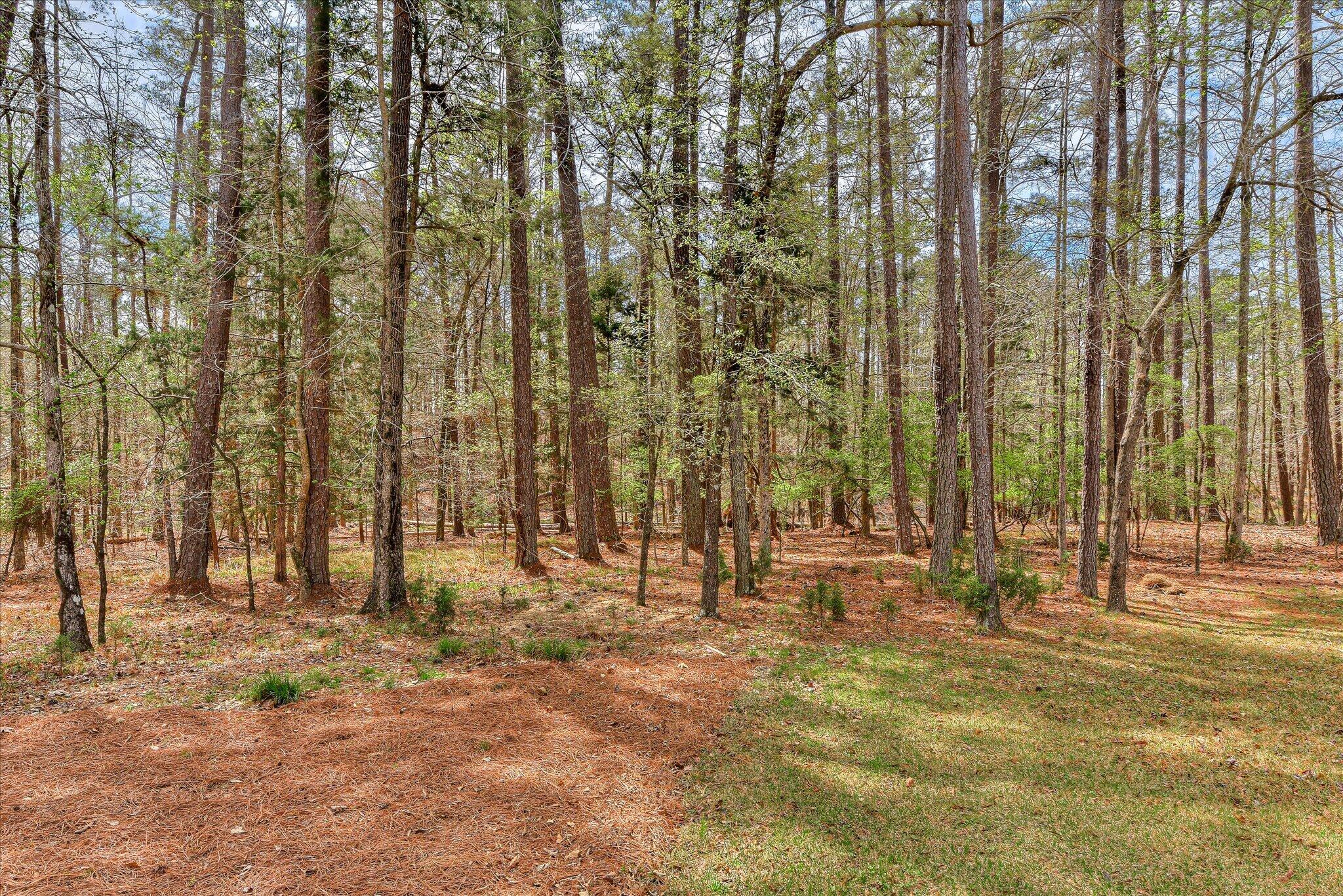 main property photo 60