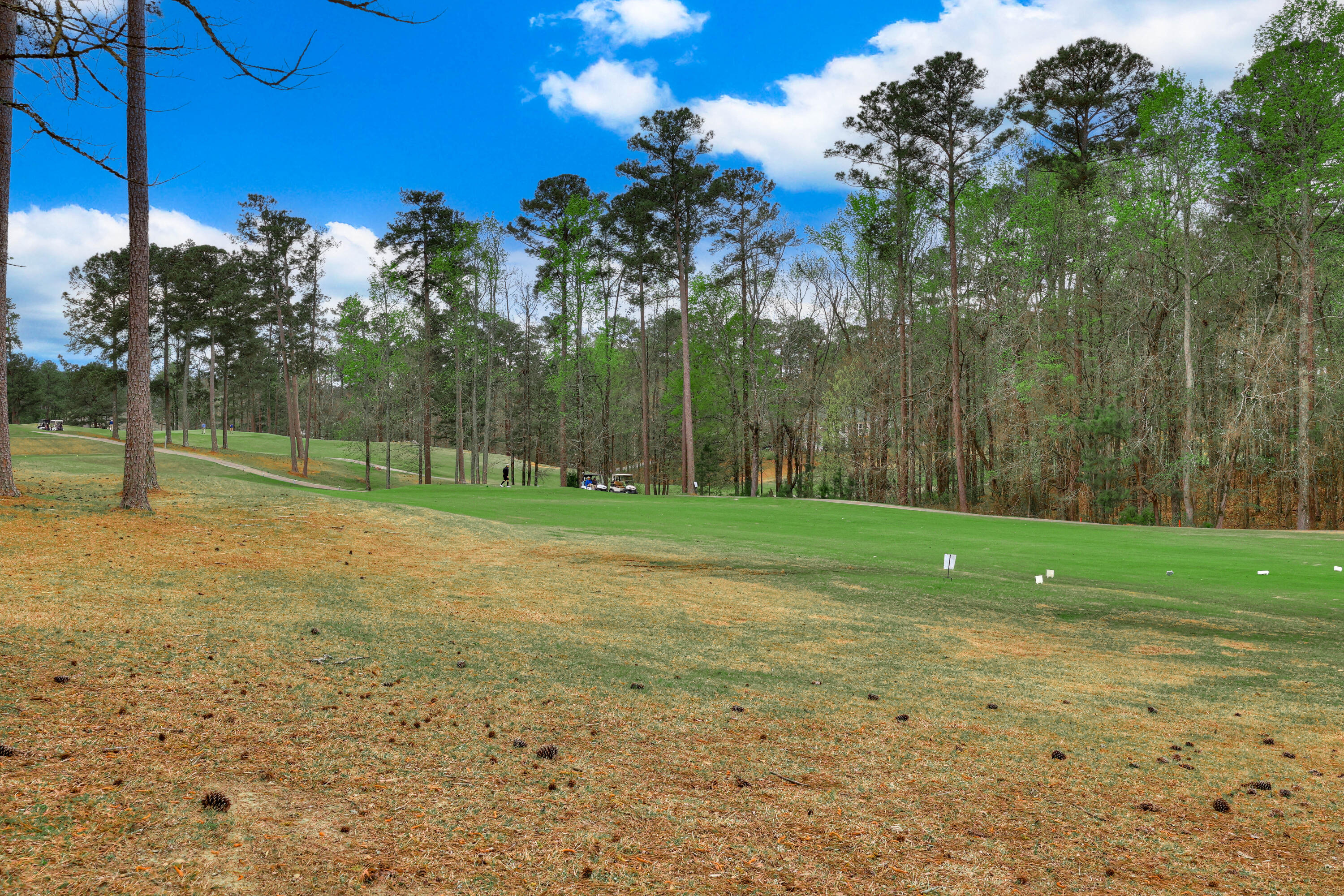 main property photo 63