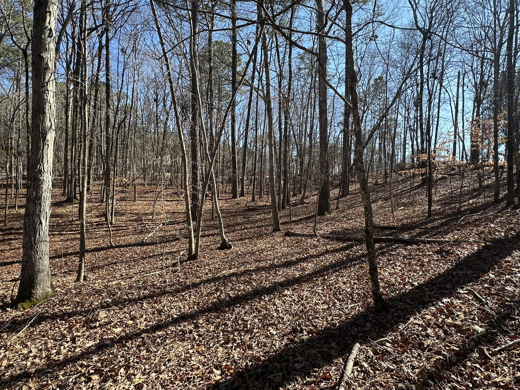 main property photo 7