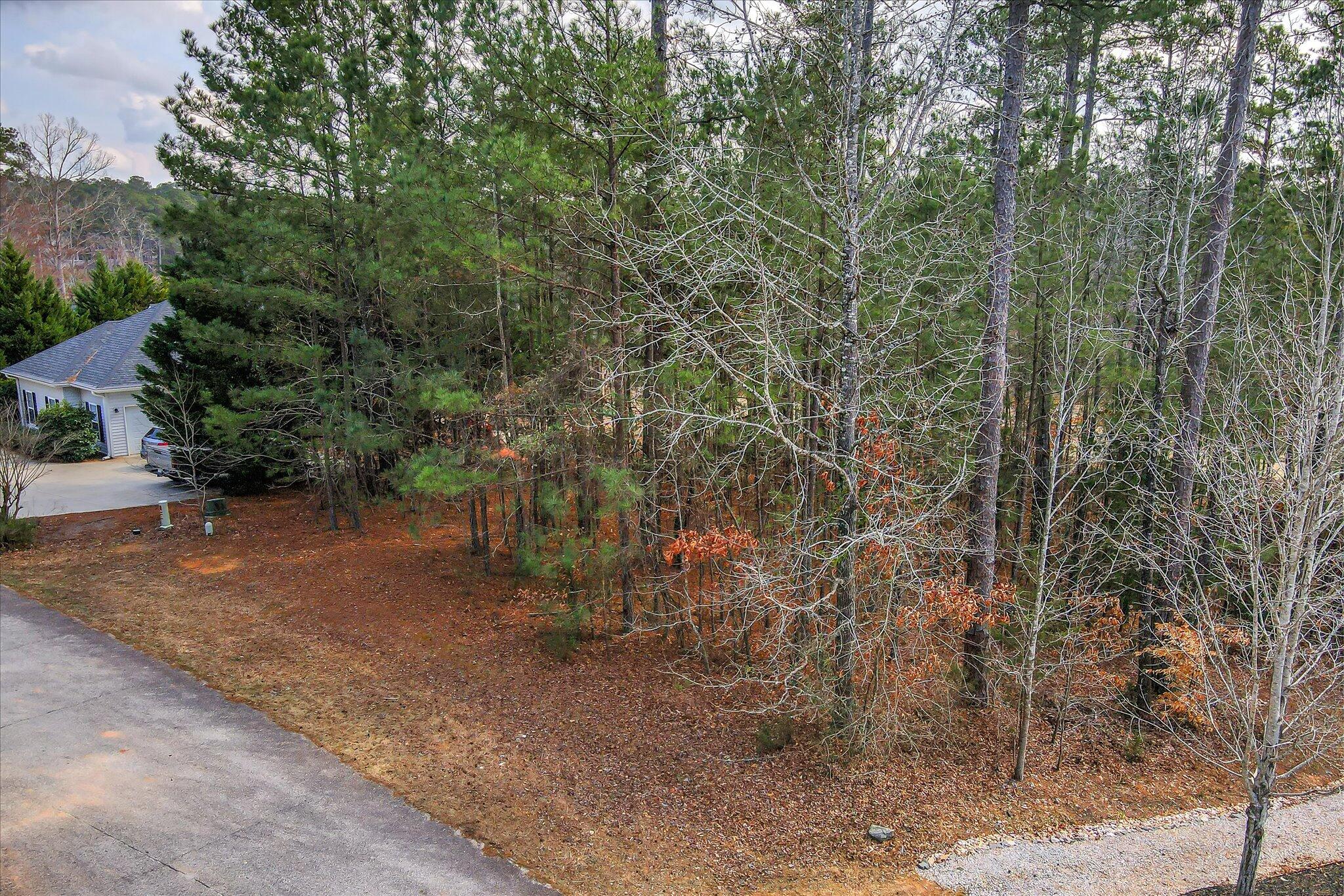 main property photo 4