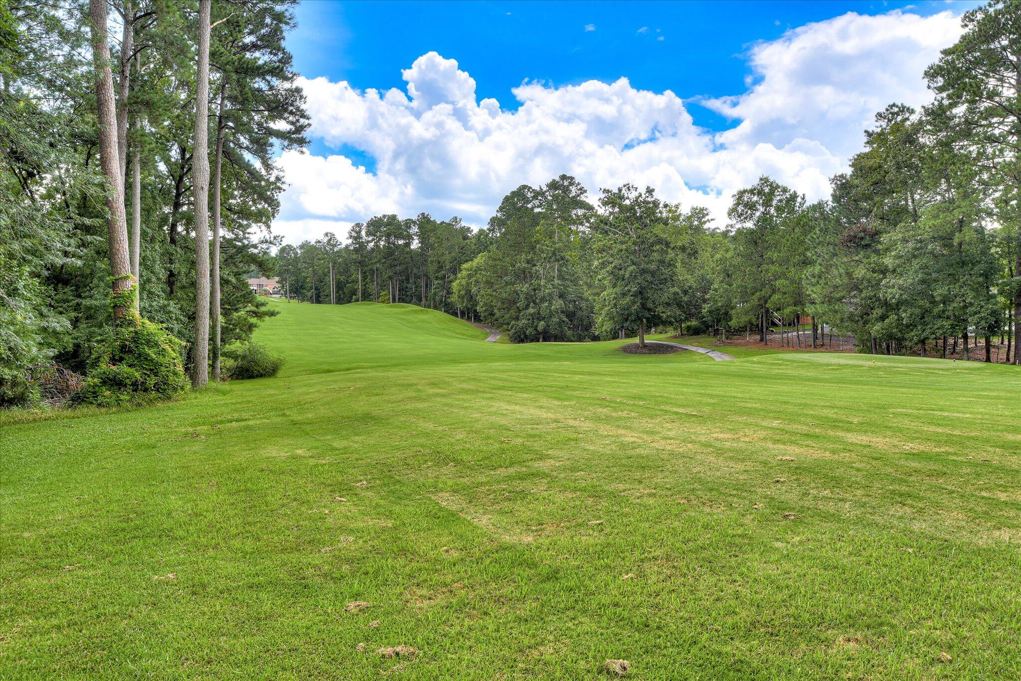 main property photo 58