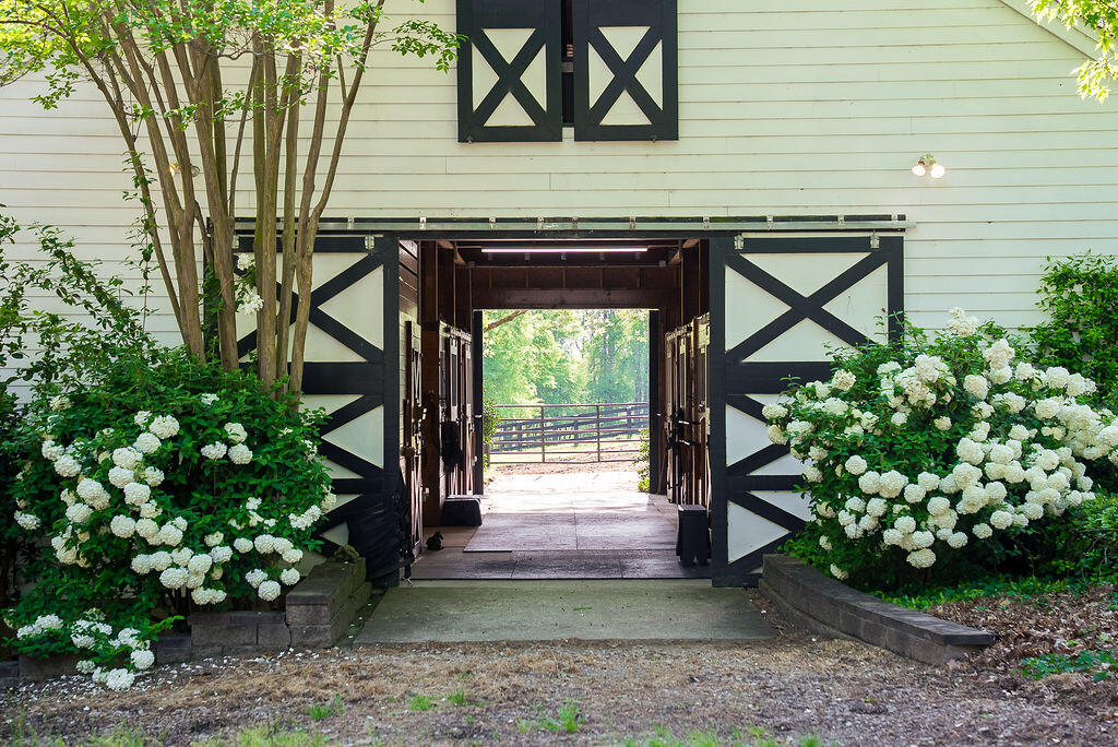 main property photo 64