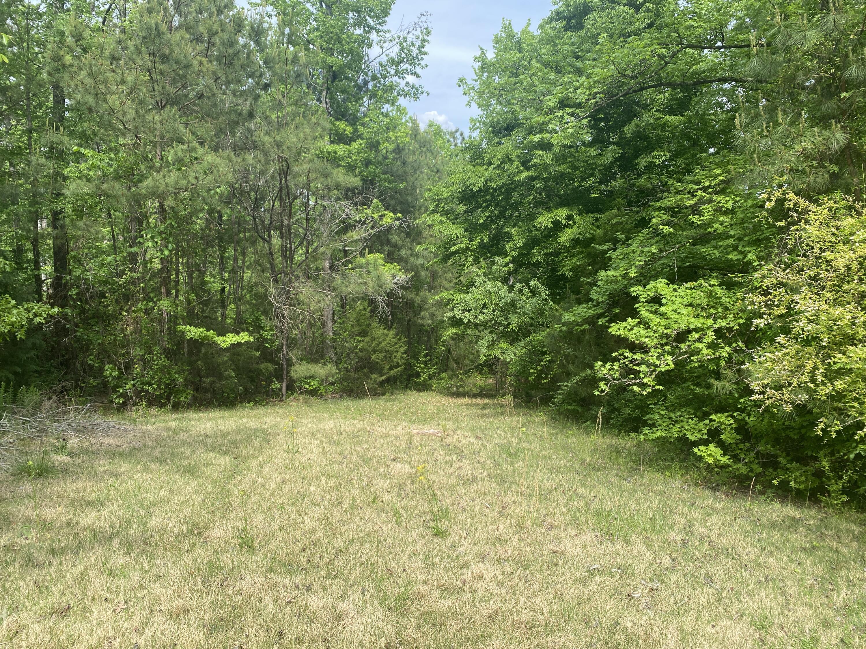 main property photo 53