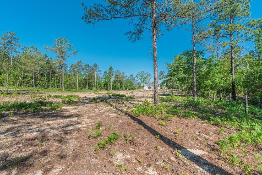 main property photo 54