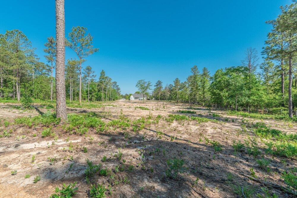main property photo 55