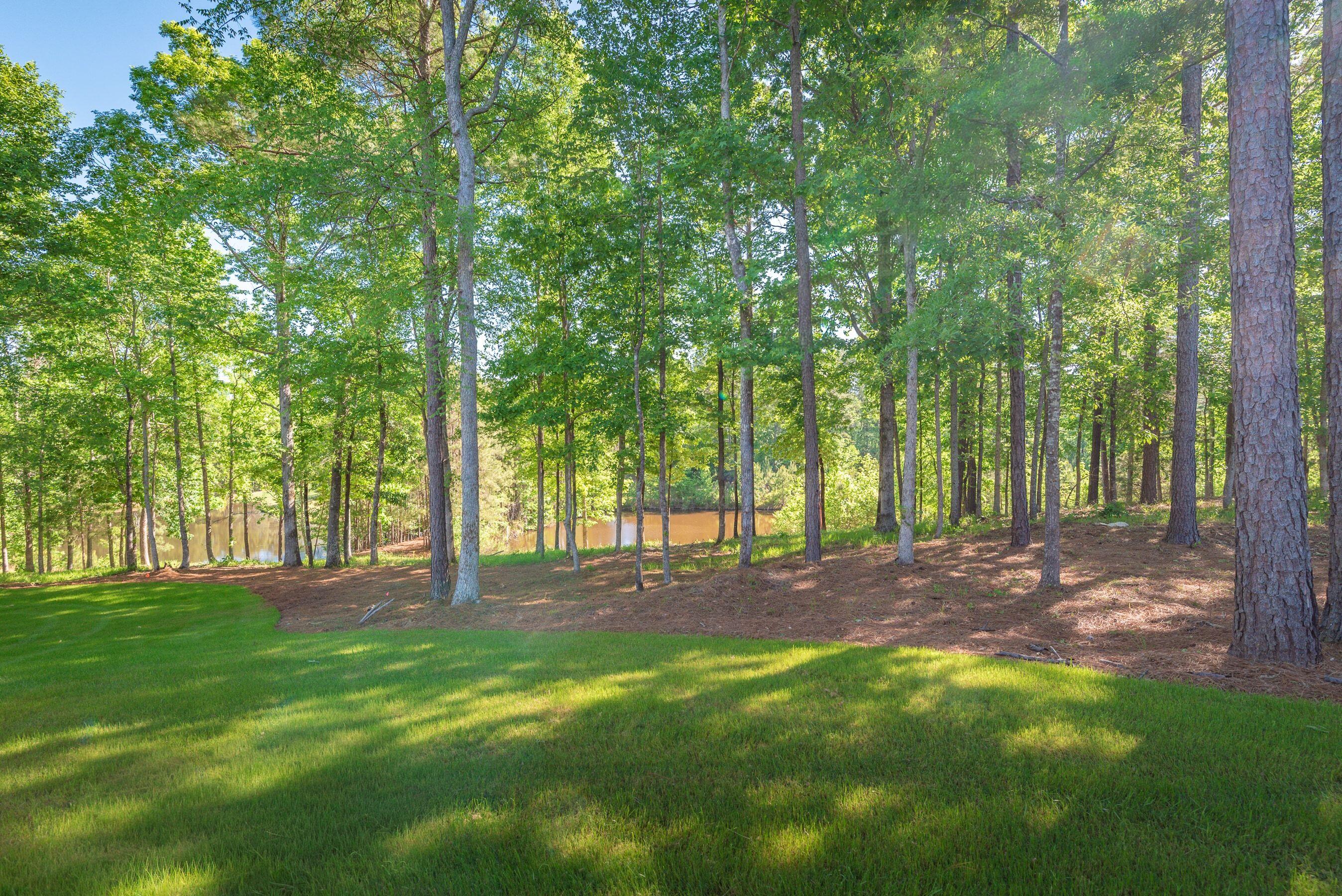 main property photo 61