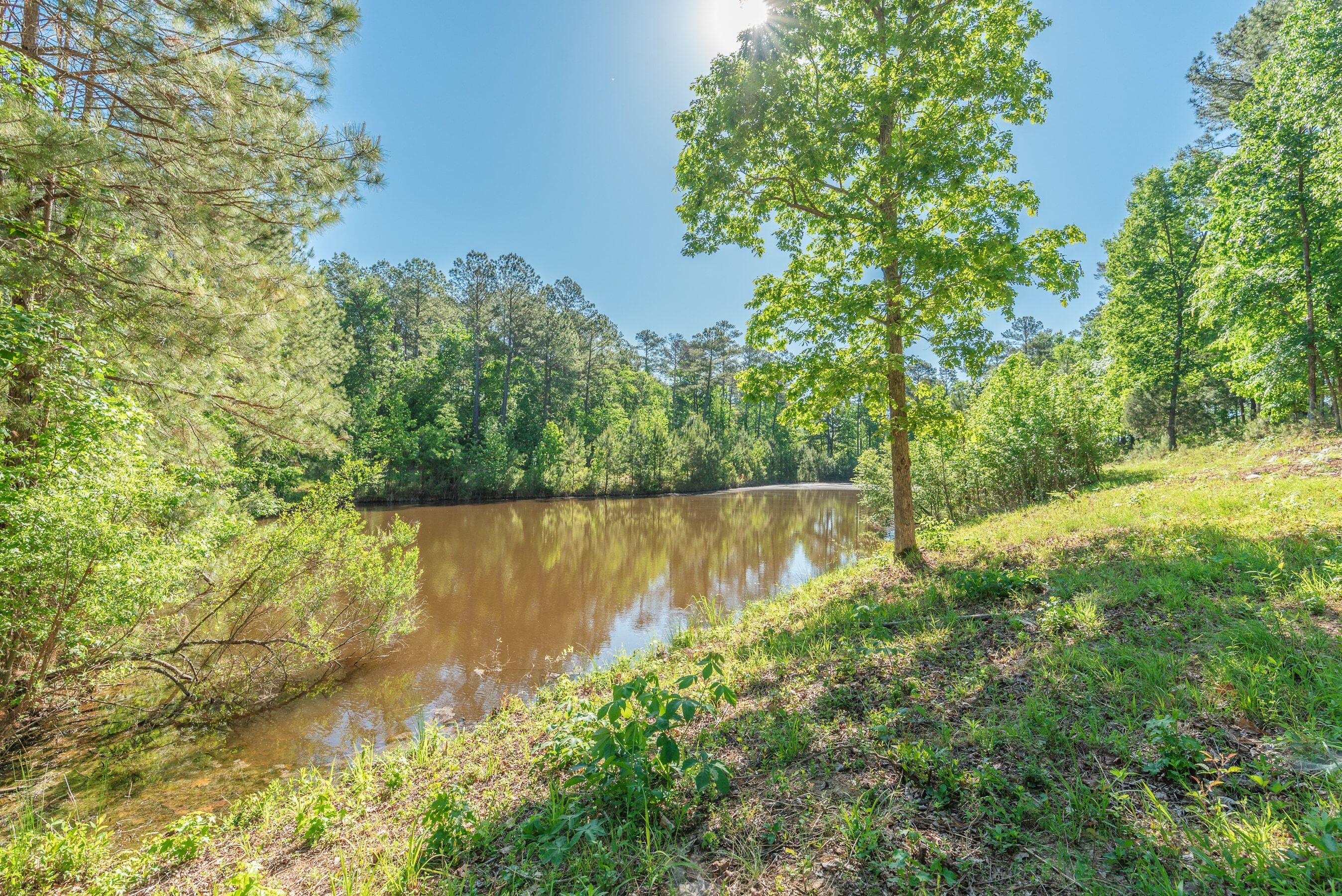 main property photo 68