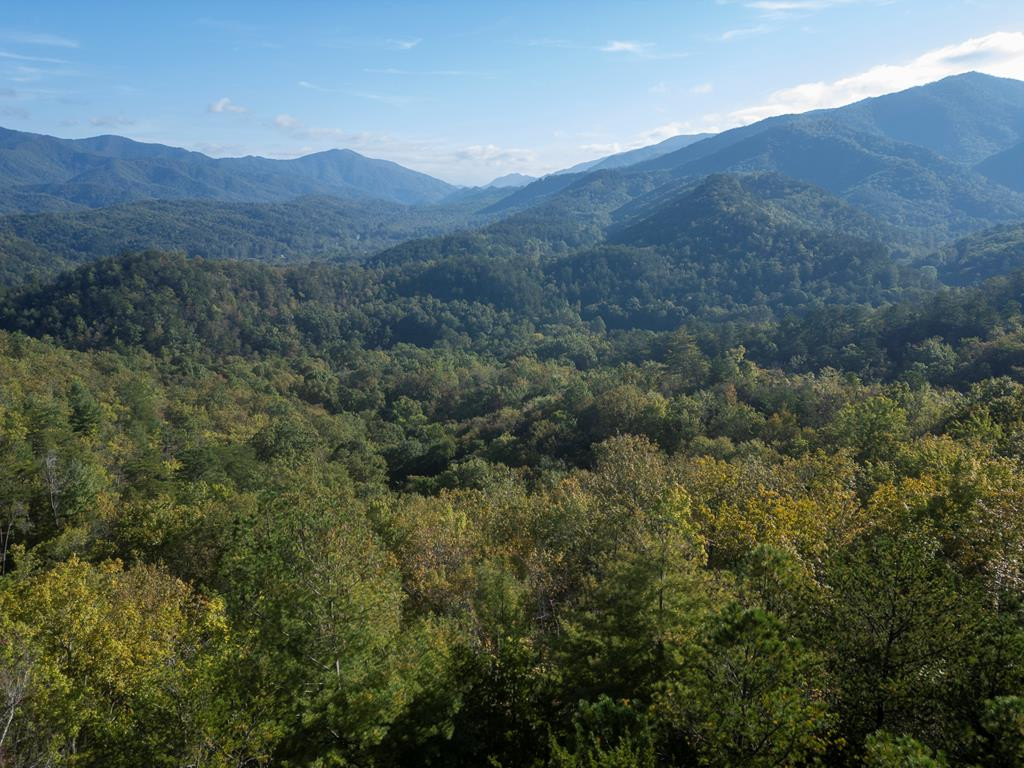main property photo 64