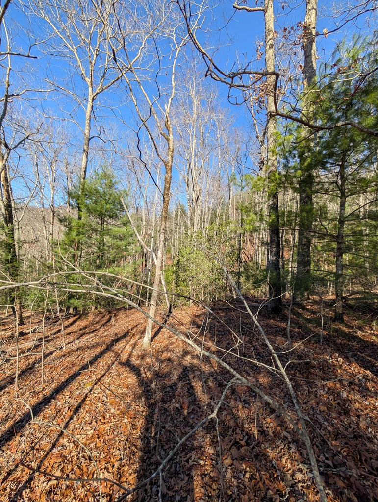 main property photo 14