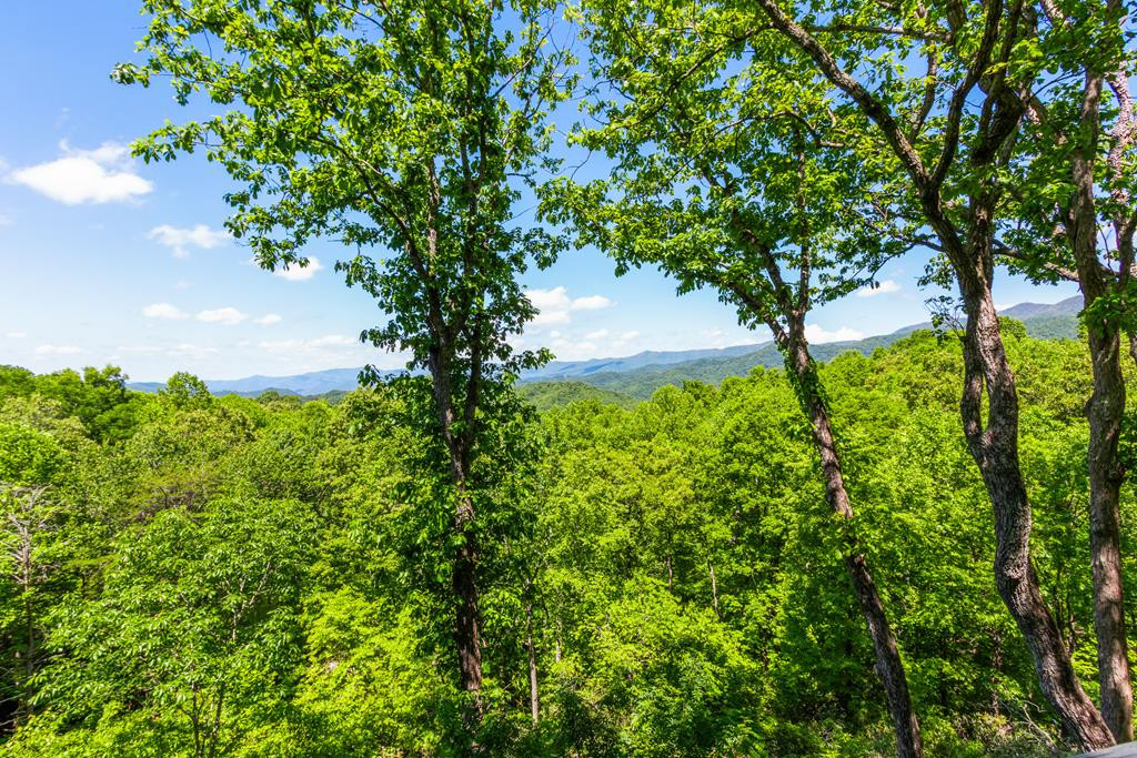 main property photo 89