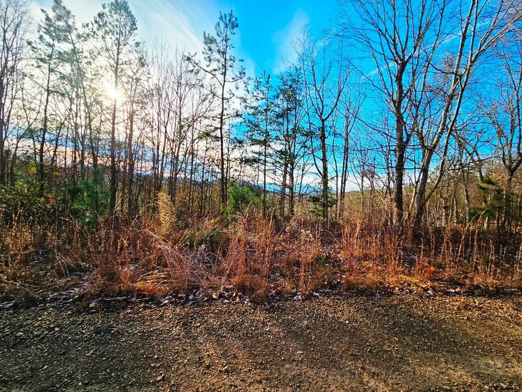 main property photo 9