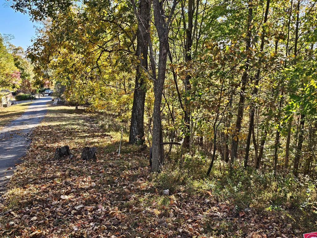 main property photo 10