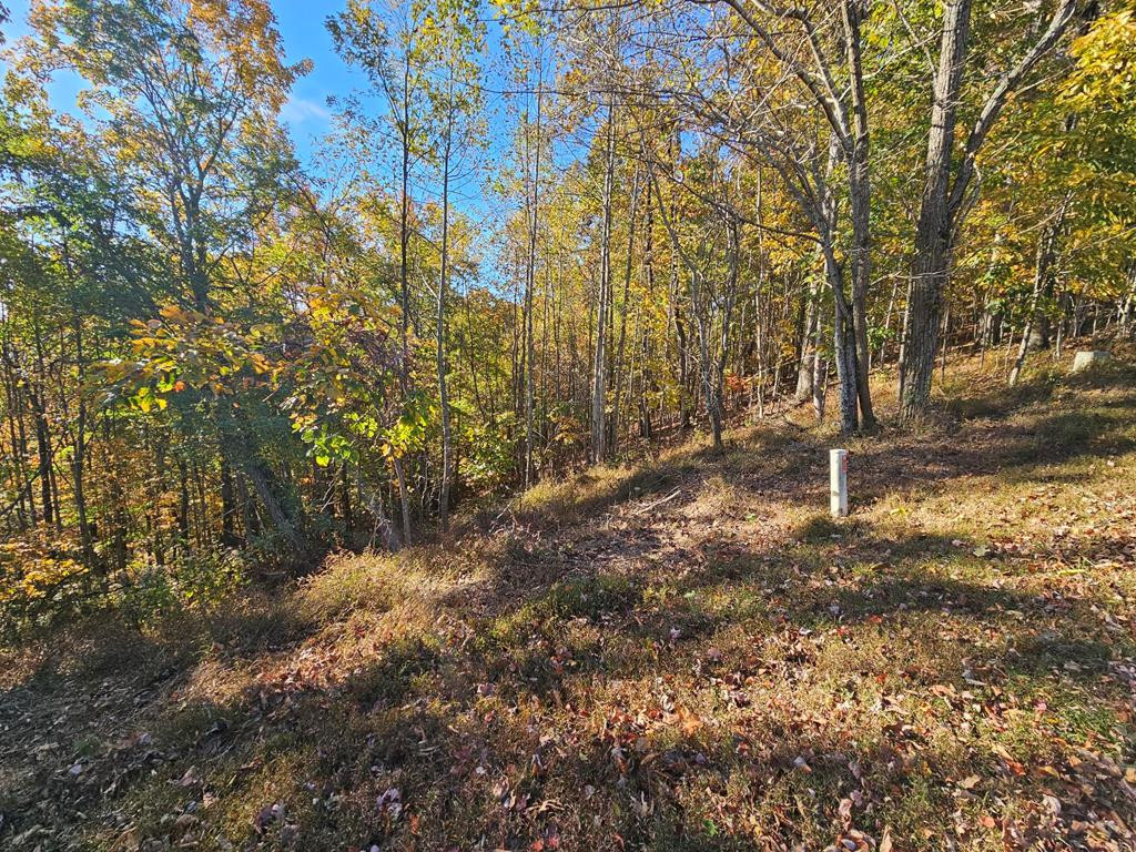 main property photo 12