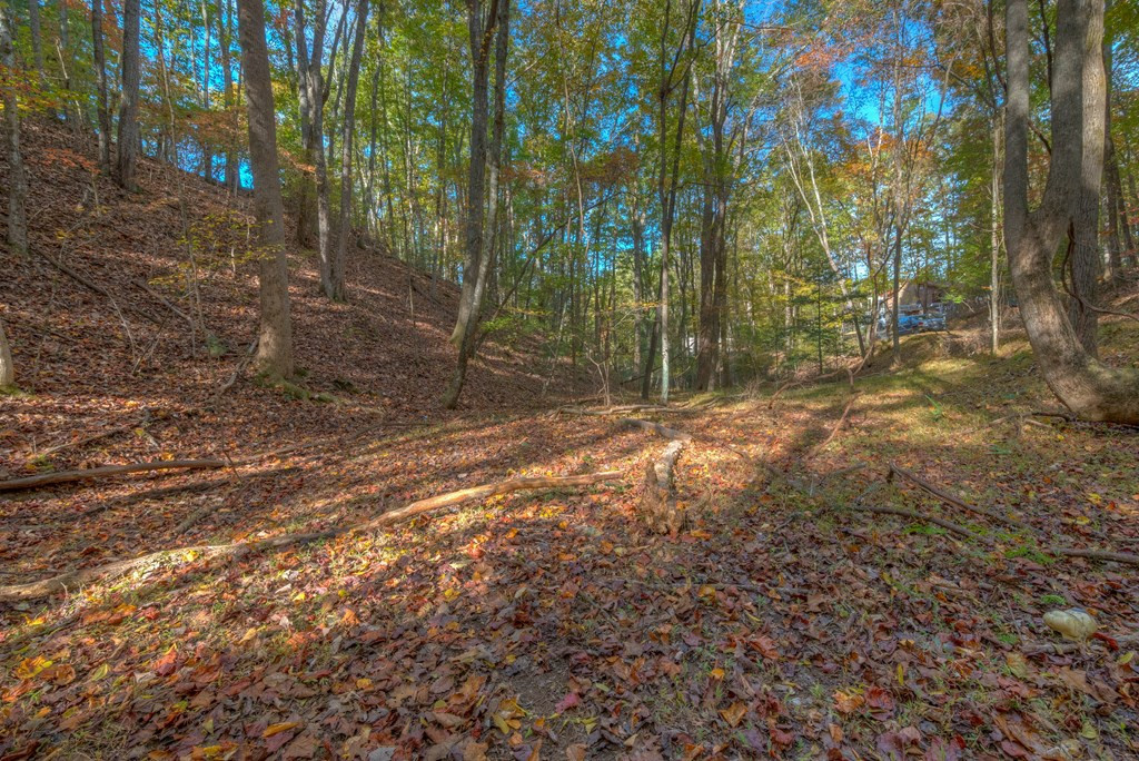 main property photo 29