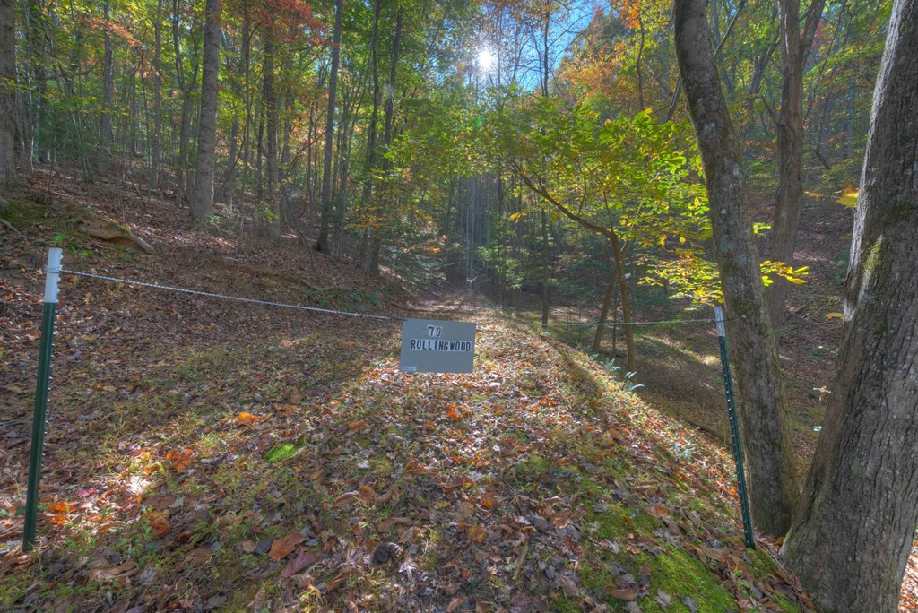 main property photo 33