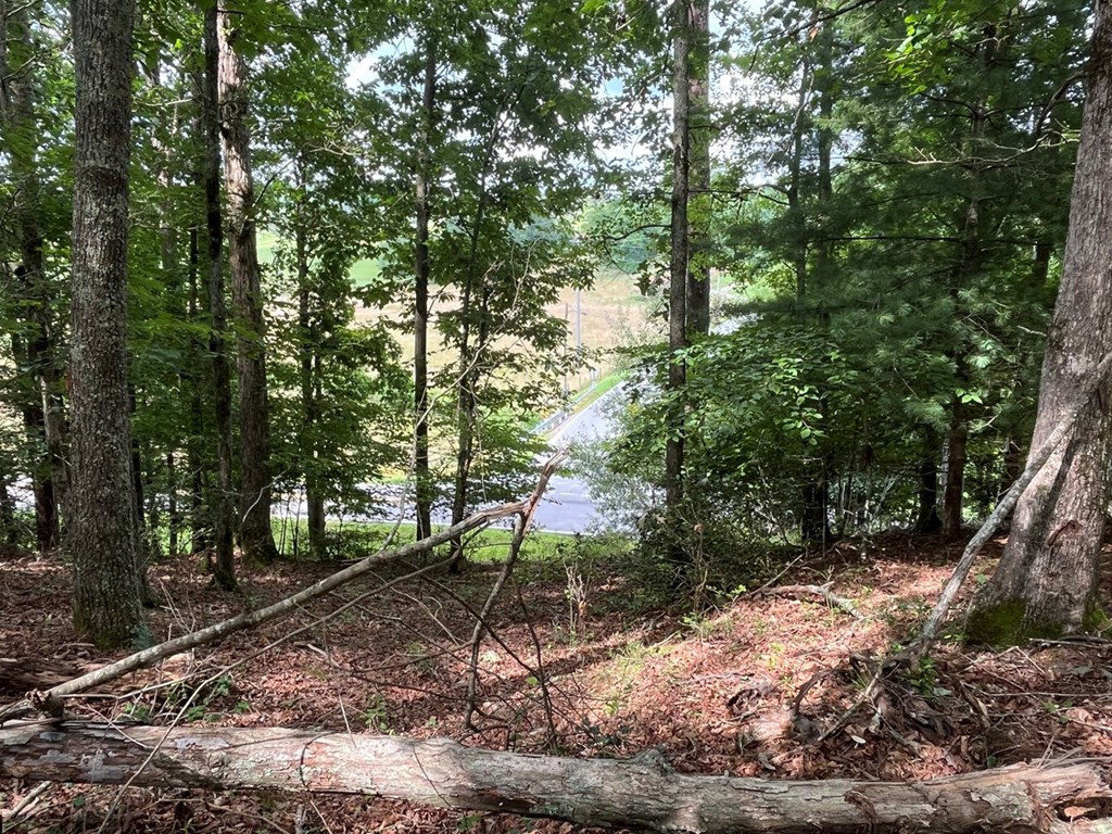 main property photo 6