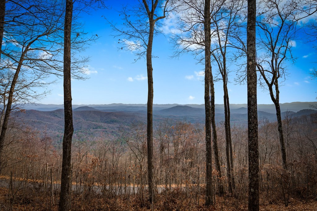 main property photo 61