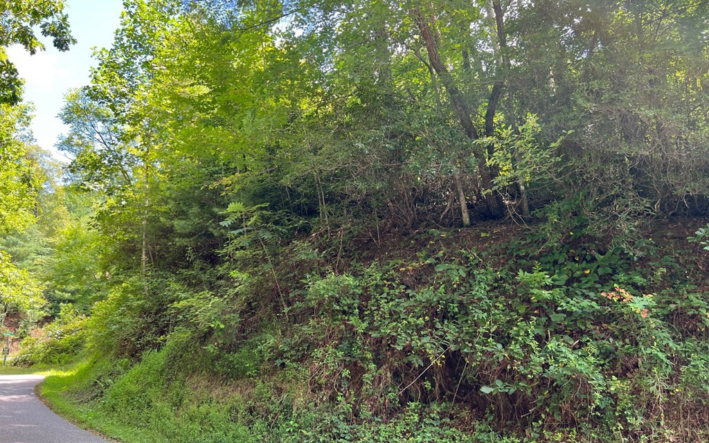 main property photo 18