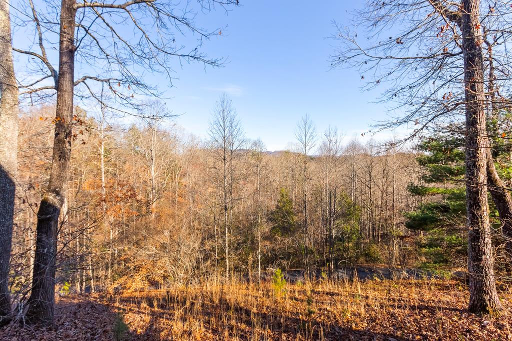 main property photo 63