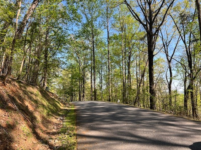 main property photo 10
