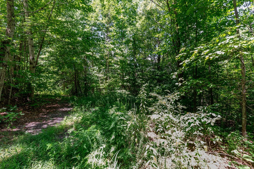 main property photo 10