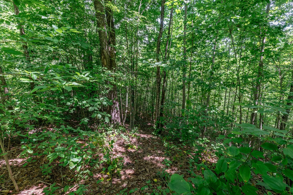 main property photo 11