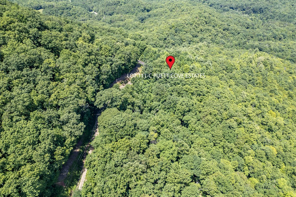 main property photo 36