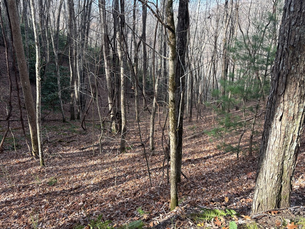 main property photo 16