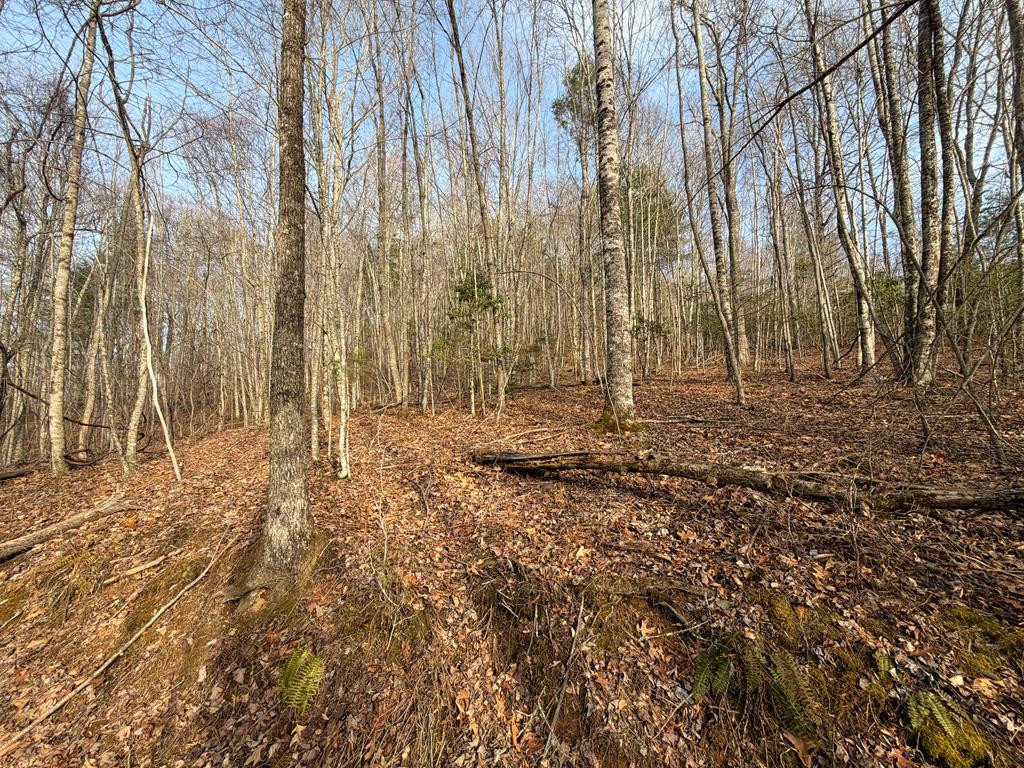 main property photo 51