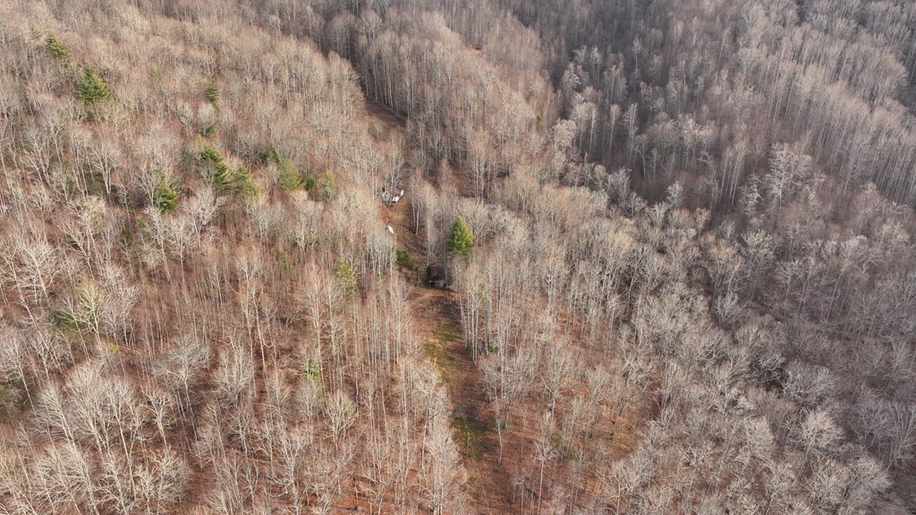 main property photo 65