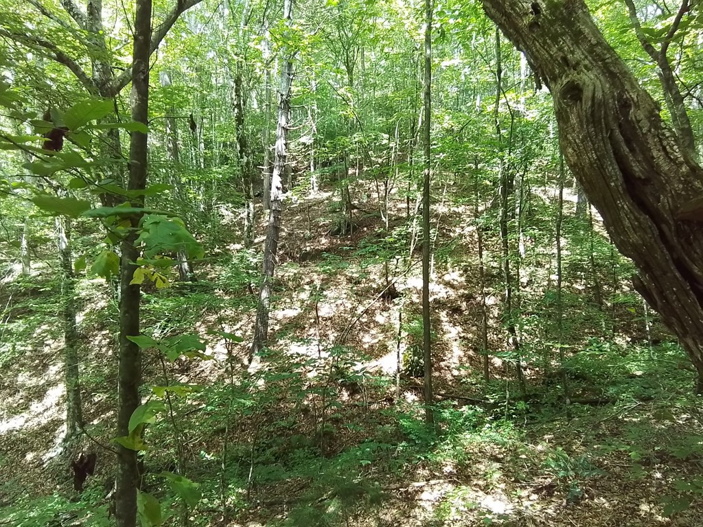 main property photo 10