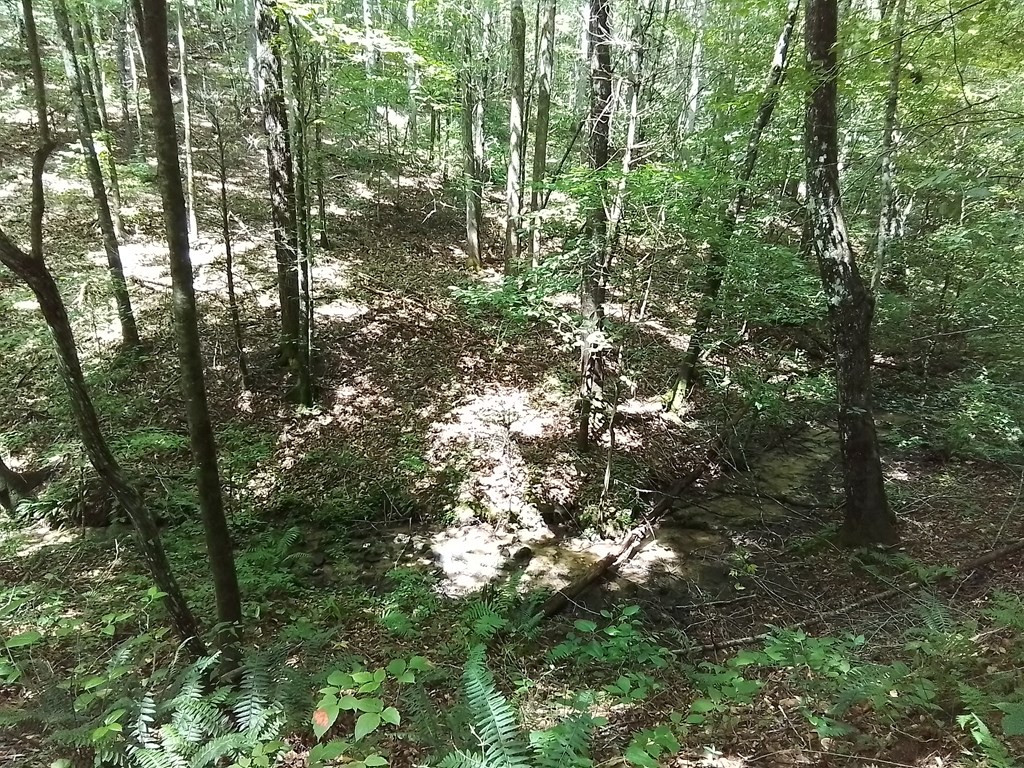 main property photo 12