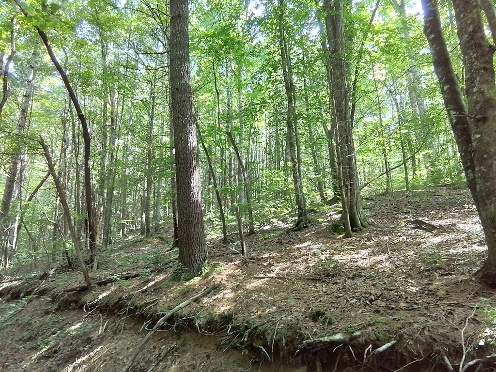 main property photo 13