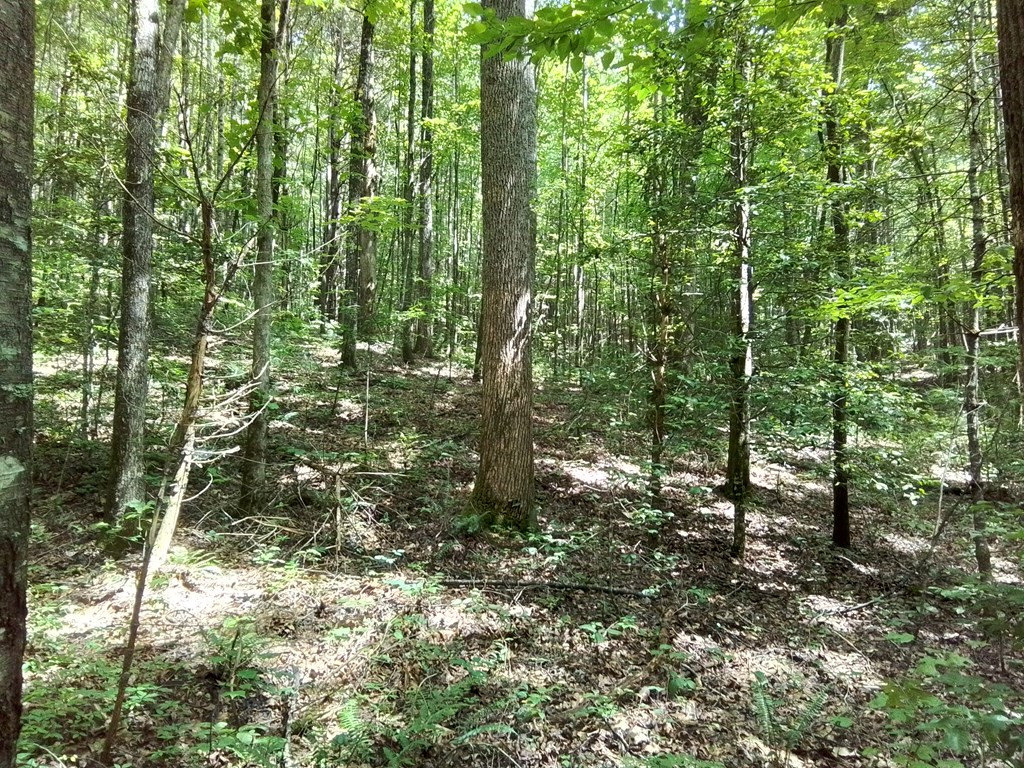 main property photo 14