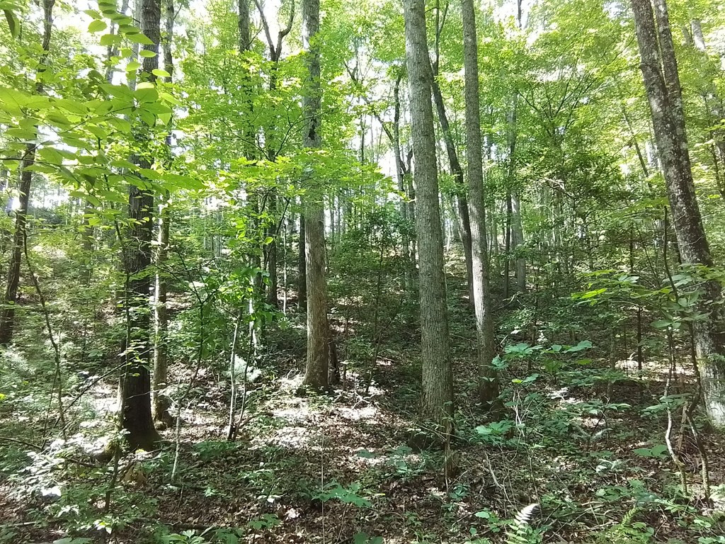main property photo 17