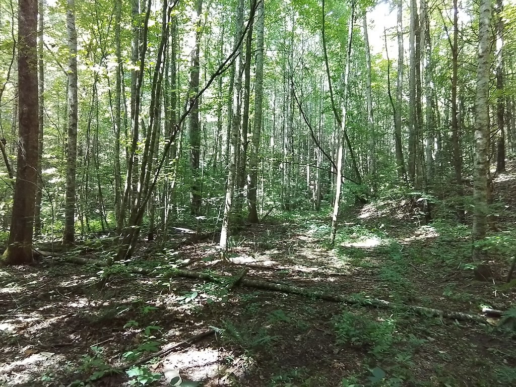 main property photo 18