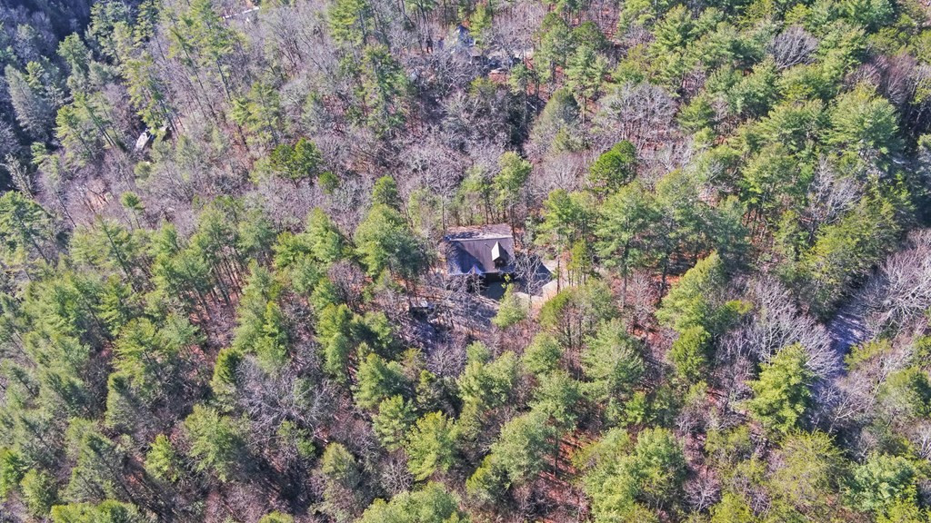 main property photo 64