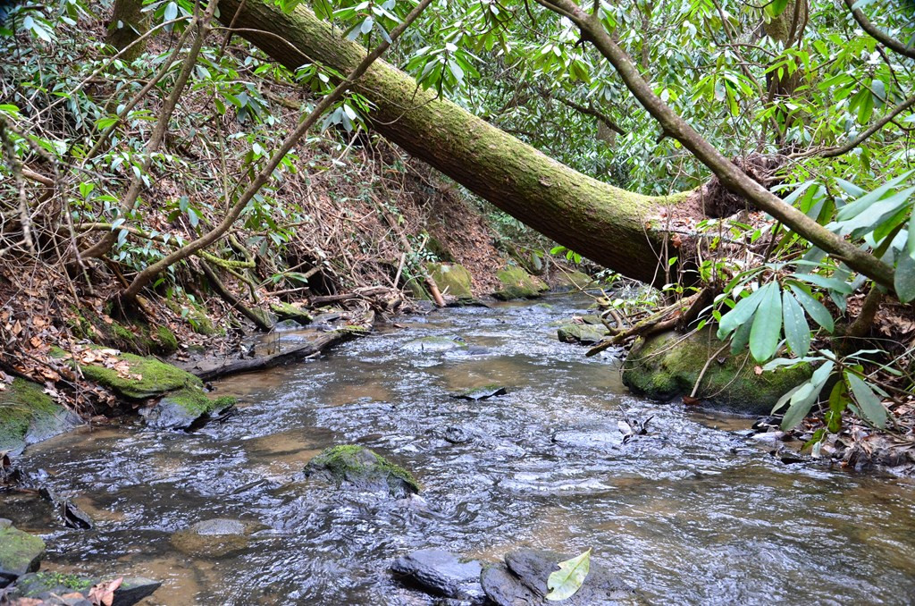 main property photo 76