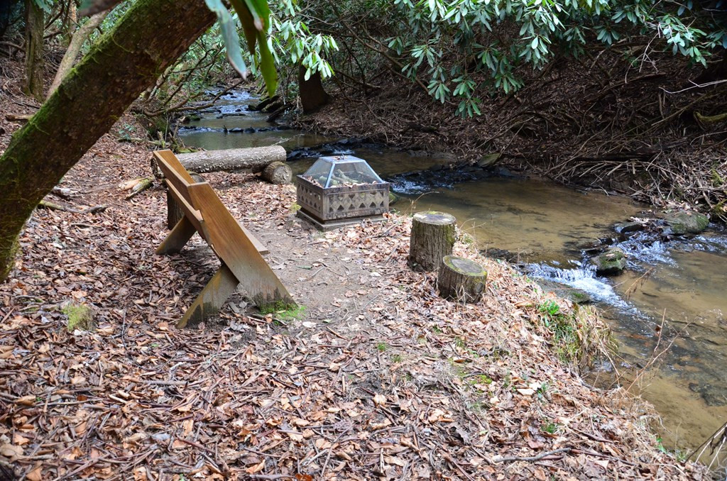 main property photo 78