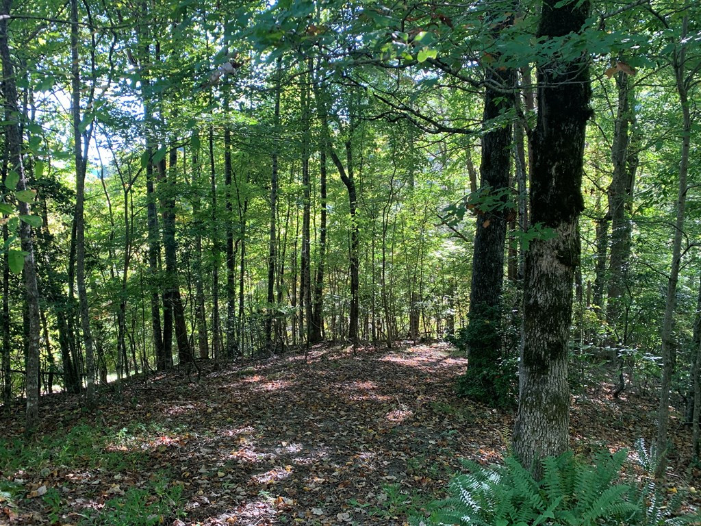 main property photo 48