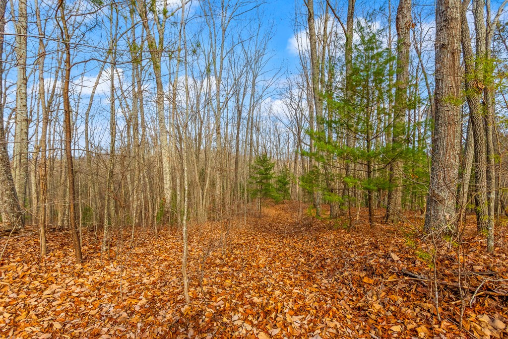 main property photo 10